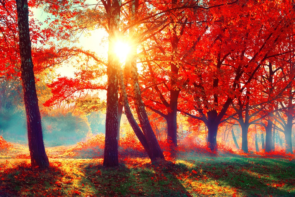 Seasons of Change